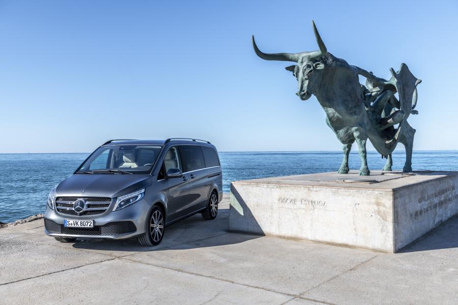  Mercedes-Benz V300 d Avantgarde (Br.447) 2019 года  (WW) (фото 13 из 42)